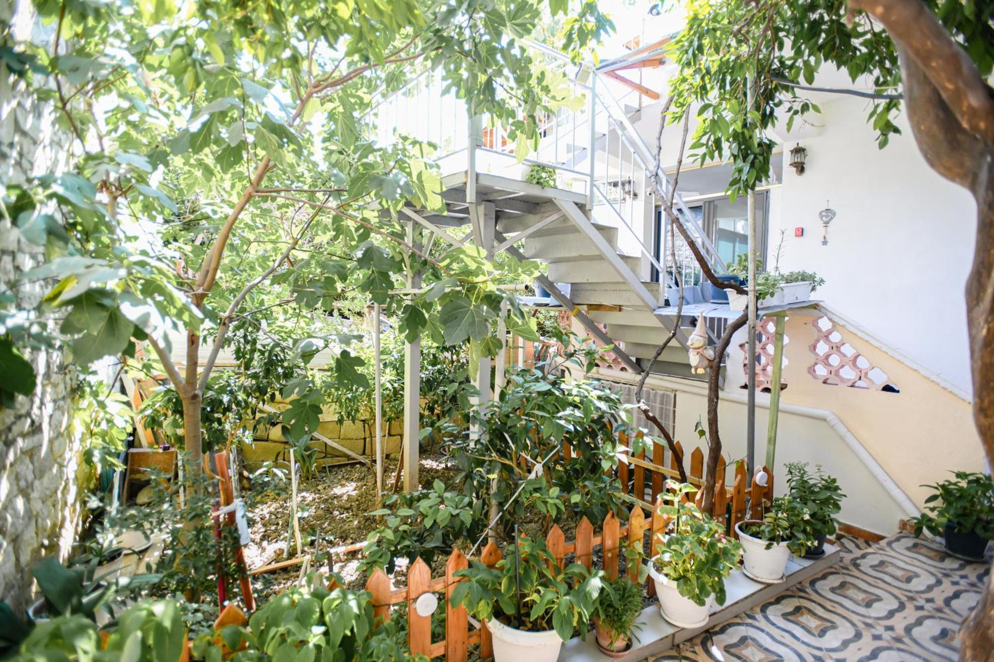 Guest House Flowers Berat Exterior photo
